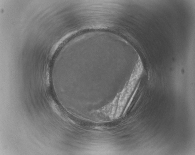 X0000051880584200507151915