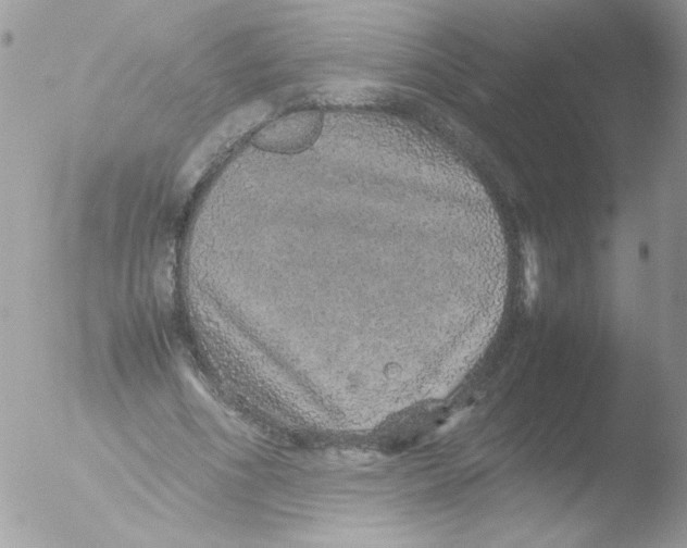 X0000051880586200507151914