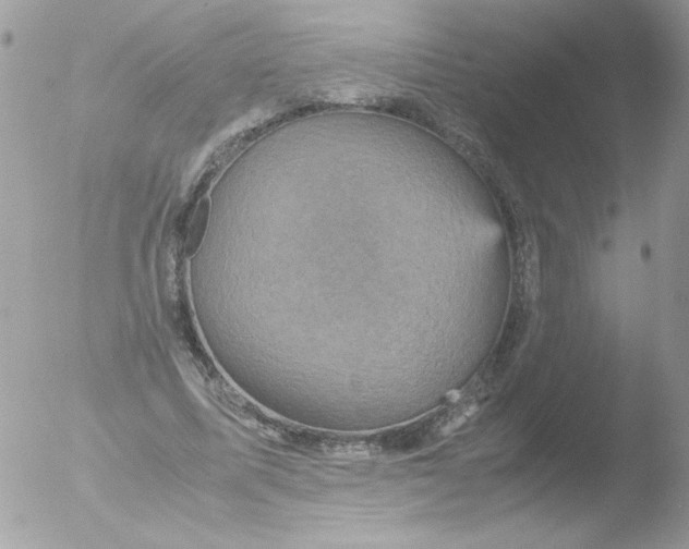 X0000051880587200507151914