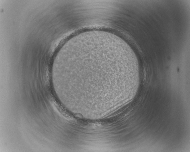 X0000051880588200507151914