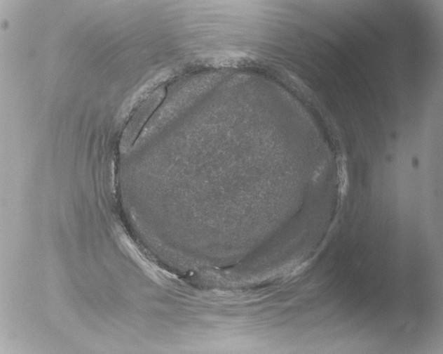 X0000051880589200507151914