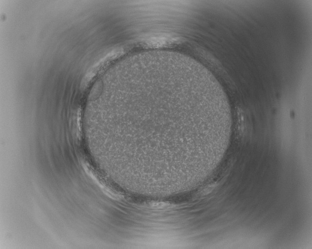 X0000051880590200507151914