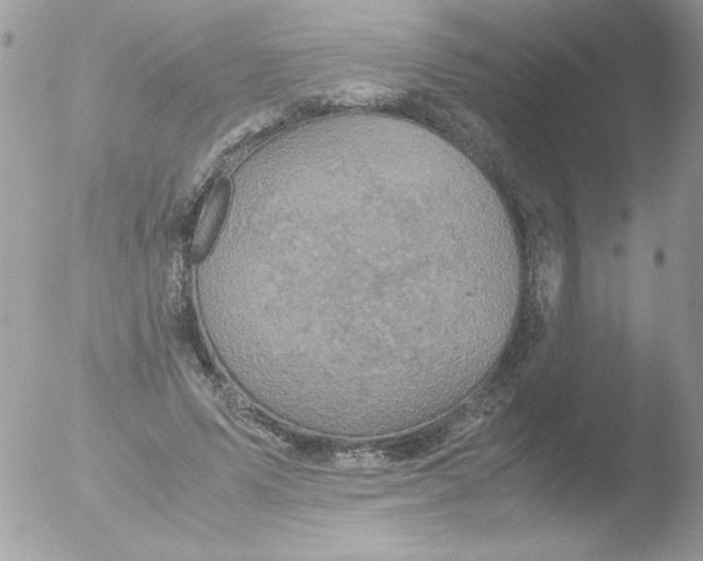 X0000051880591200507151914