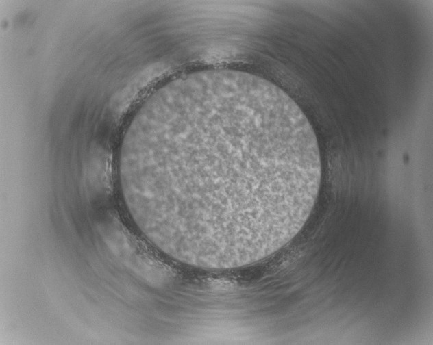 X0000051880592200507151914