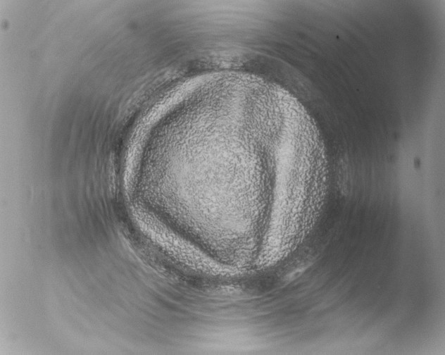 X0000051880594200507151914