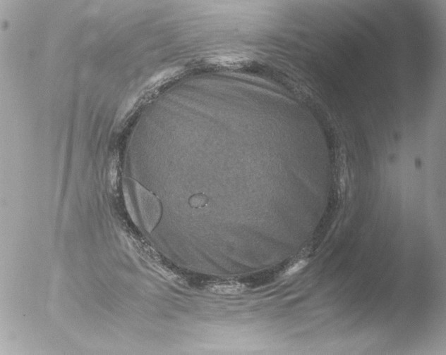 X0000051880595200507151914