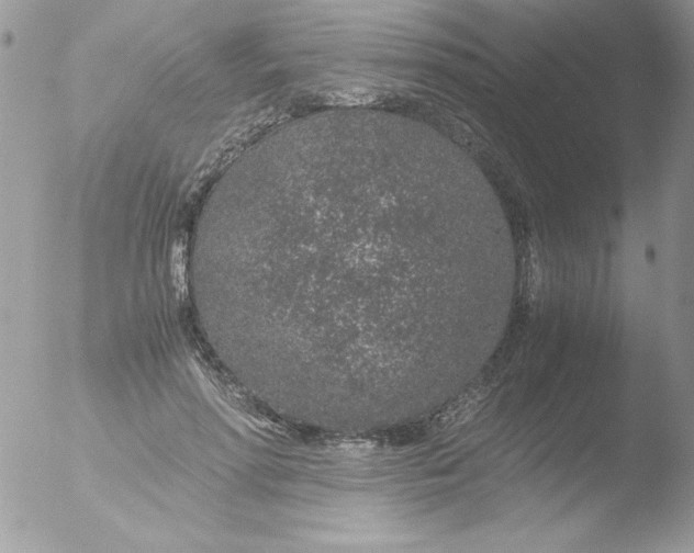 X0000051880598200507151914