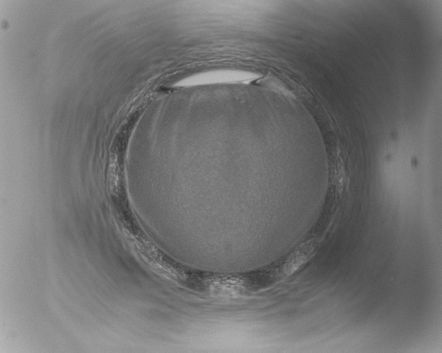 X0000051880599200507151914