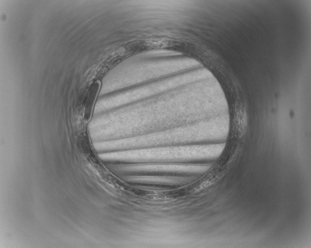 X0000051880601200507151914