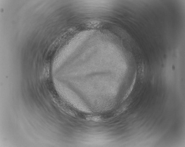 X0000051880602200507151914