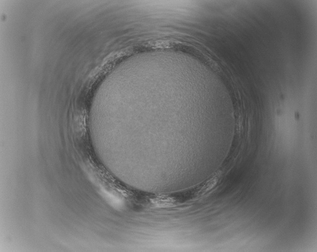 X0000051880603200507151914