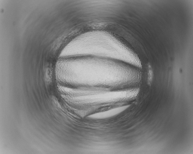 X0000051880604200507151914