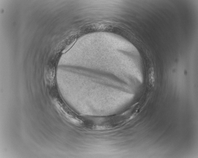 X0000051880605200507151914