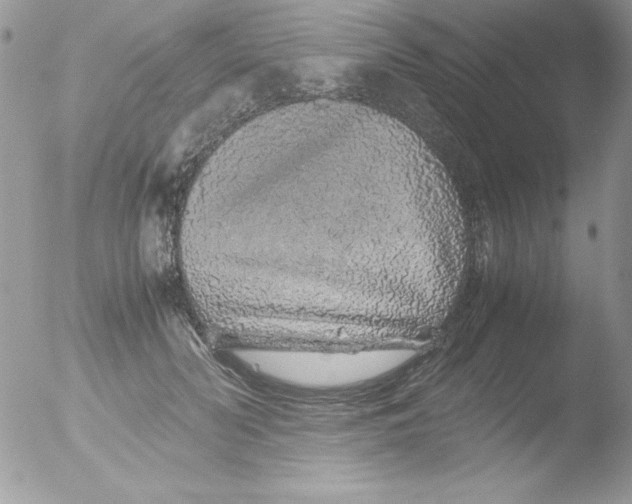 X0000051880606200507151914