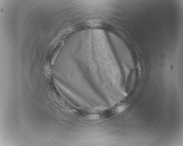 X0000051880609200507151914