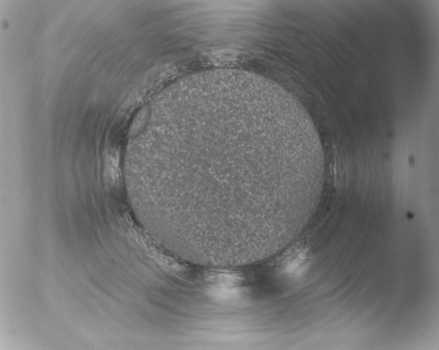 X0000051880610200507151914