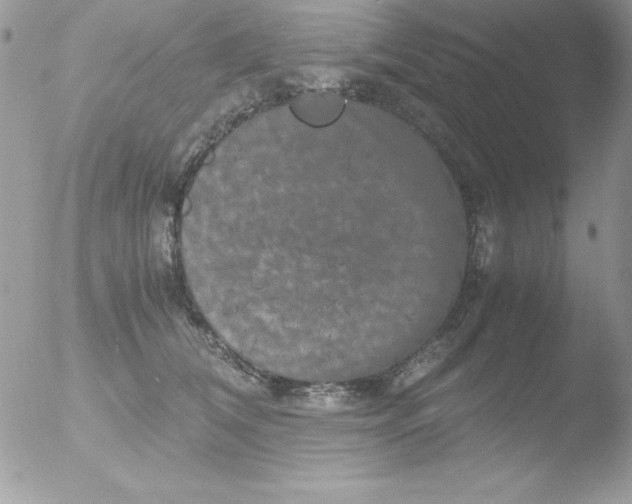 X0000051880612200507151914