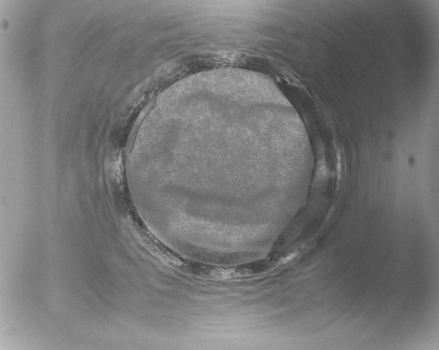 X0000051880613200507151914