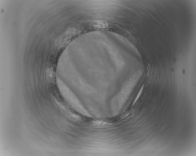 X0000051880614200507151914