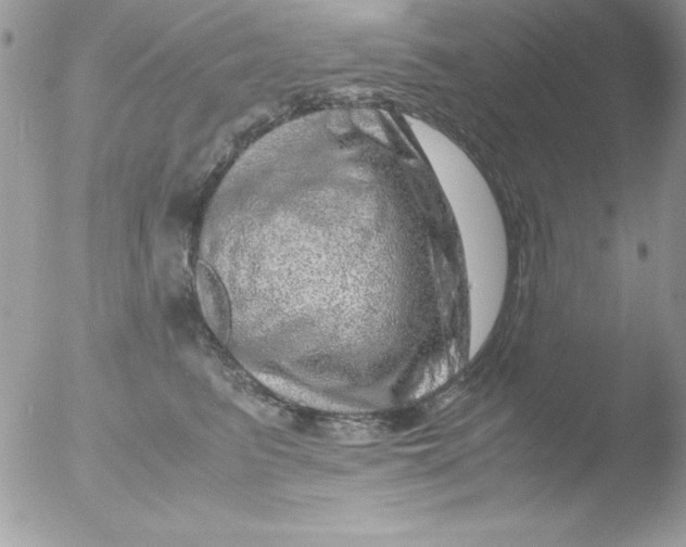 X0000051880615200507151914