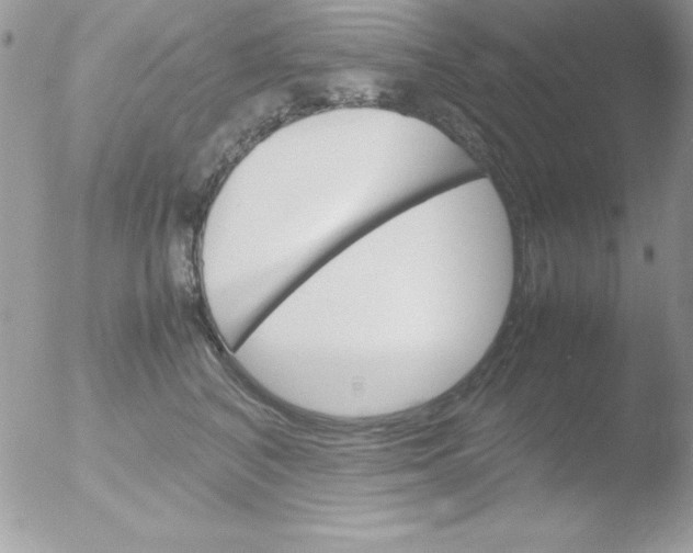 X0000051880616200507151914