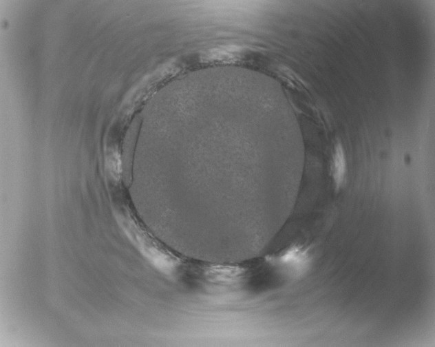 X0000051880617200507151914