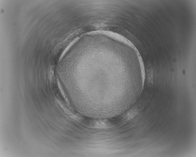 X0000051880618200507151914