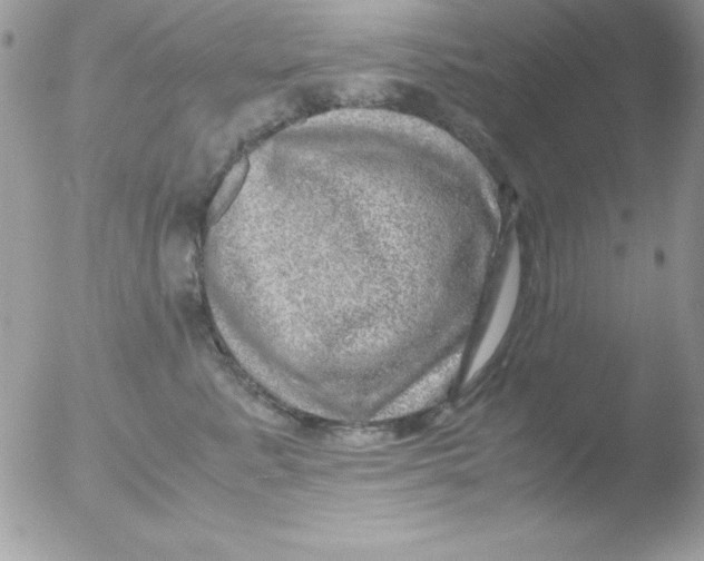 X0000051880619200507151914