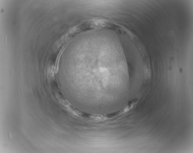 X0000051880621200507151914