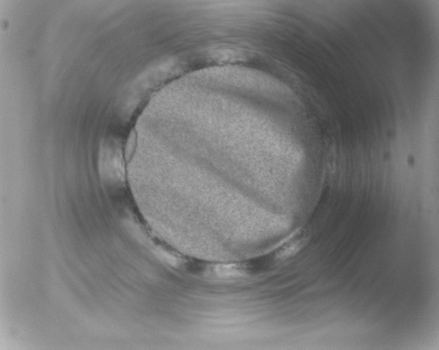 X0000051880622200507151914