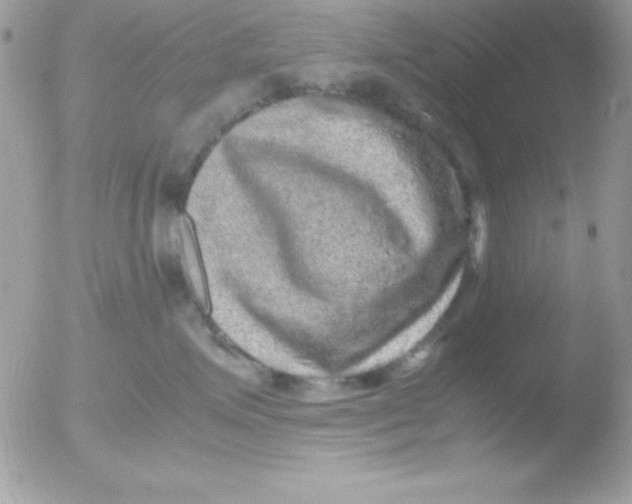 X0000051880623200507151914