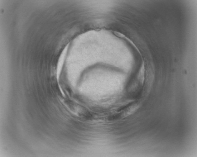 X0000051880624200507151914