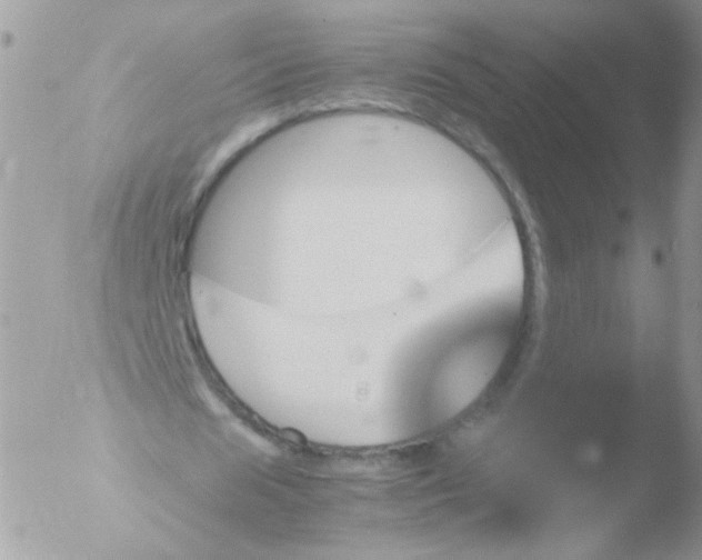 X0000051880625200507151913