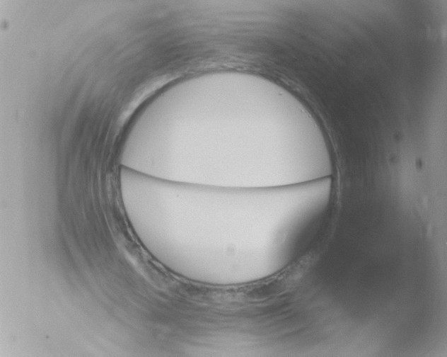 X0000051880626200507151913