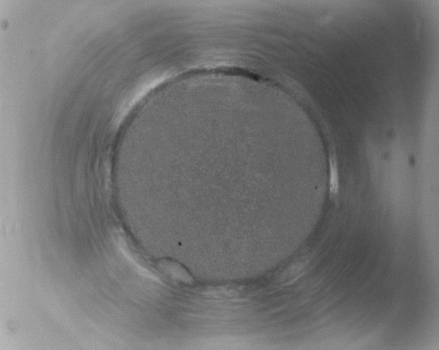 X0000051880627200507151913