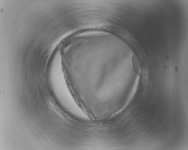 X0000051880628200507151913