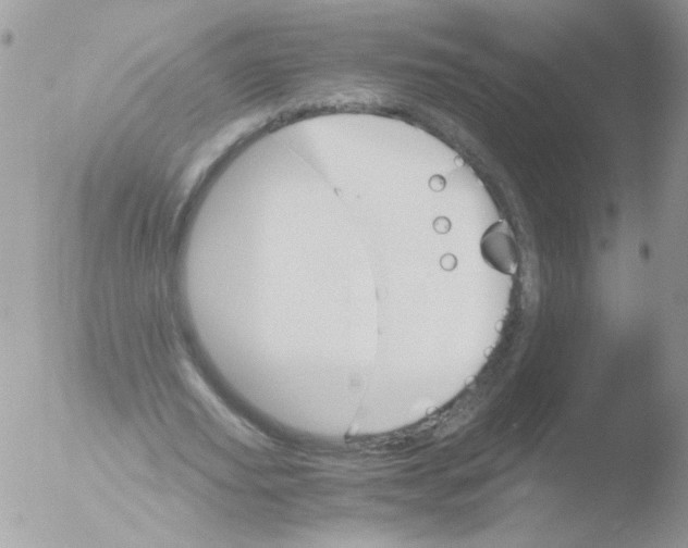 X0000051880629200507151913