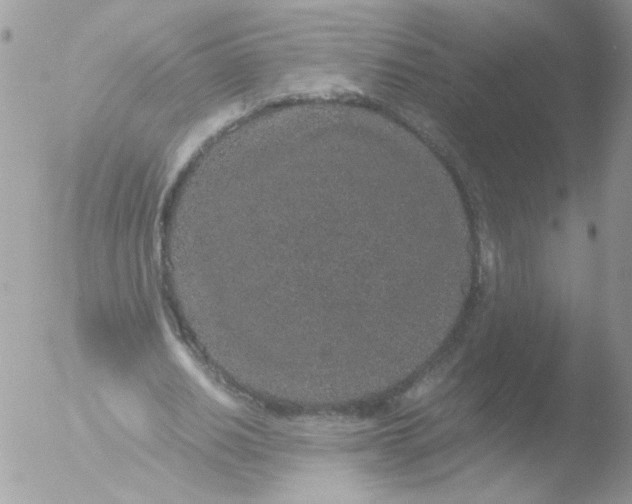 X0000051880630200507151913