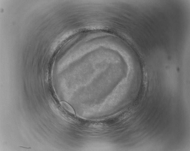 X0000051880631200507151913