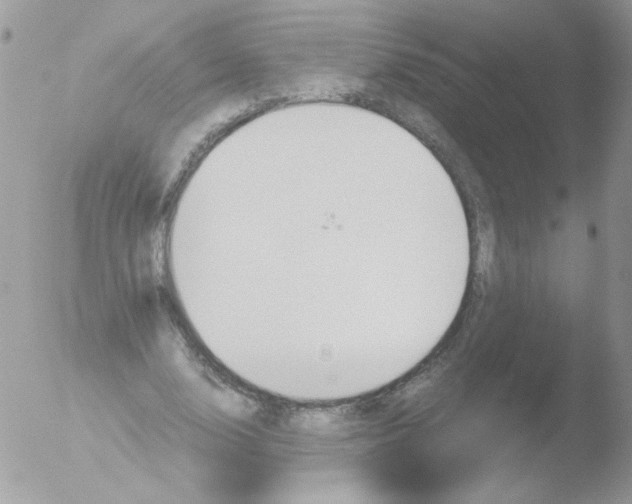 X0000051880632200507151913