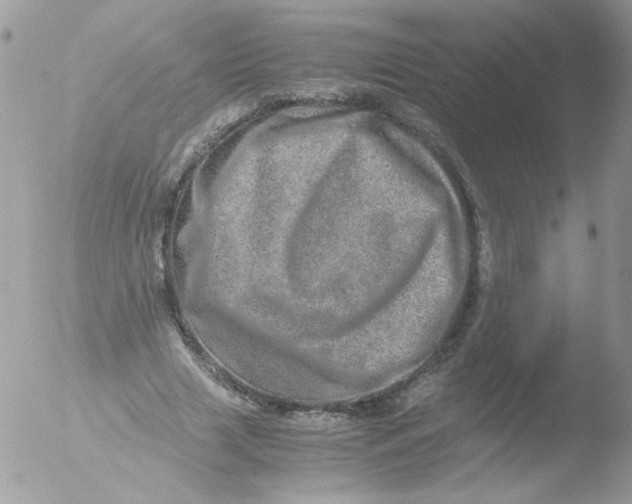 X0000051880633200507151913