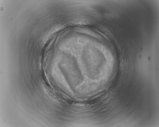 X0000051880635200507151913