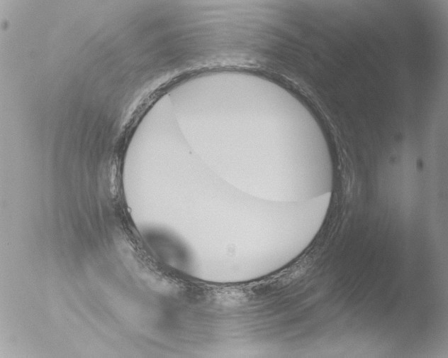 X0000051880636200507151913