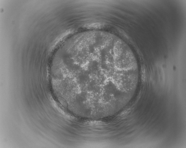 X0000051880637200507151913