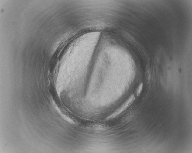 X0000051880638200507151913