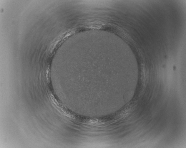 X0000051880641200507151913