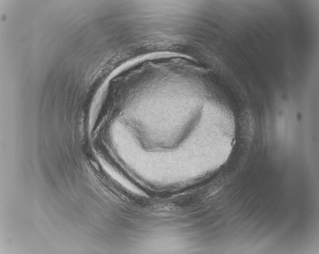 X0000051880642200507151913