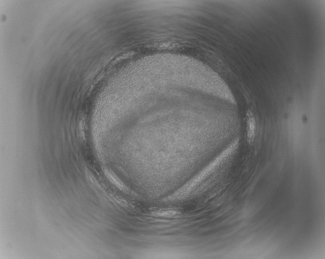 X0000051880643200507151913