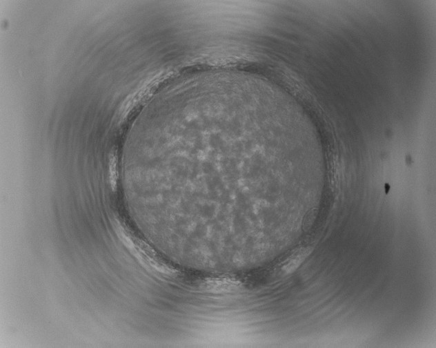 X0000051880644200507151913