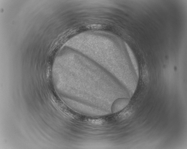 X0000051880645200507151913